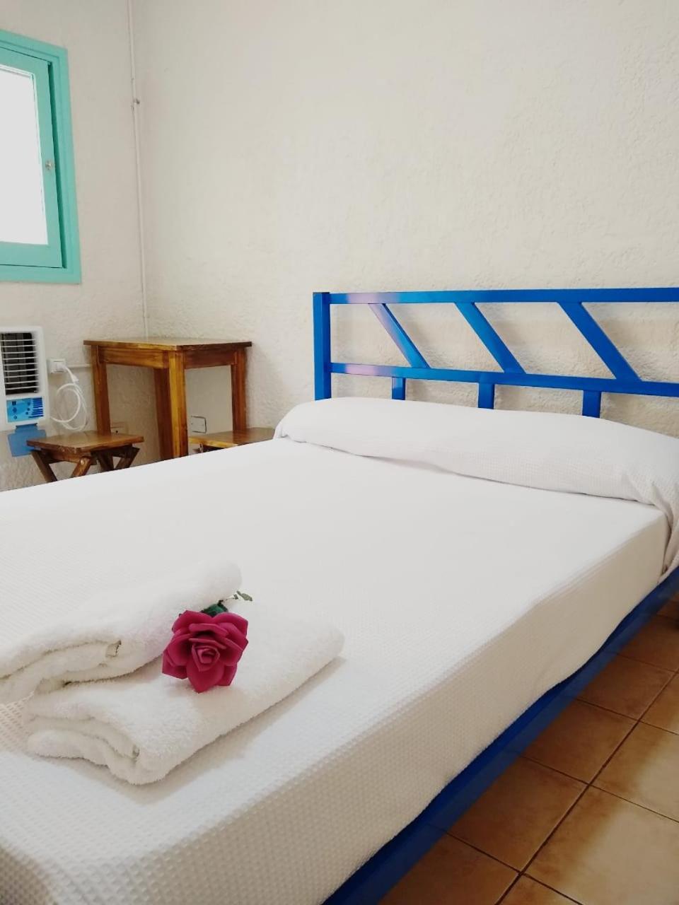 Black Sheep International Hostel Mendoza Exterior foto
